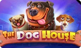 Betblast casino – The Dog House